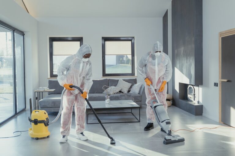 The Silent Marvel of Professional Carpet Cleaning Services